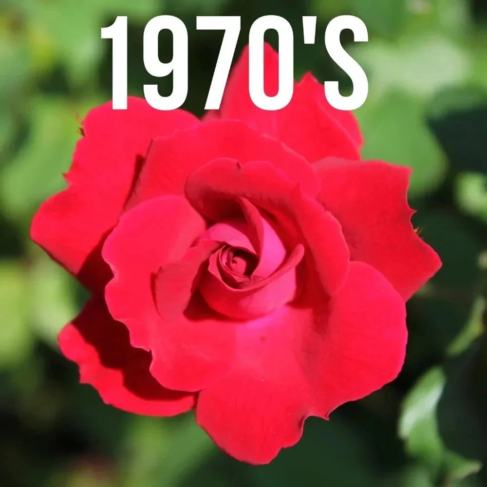 We have 1970's